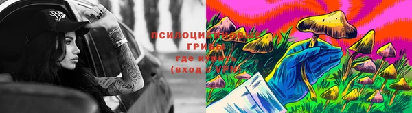 тгк Богородицк