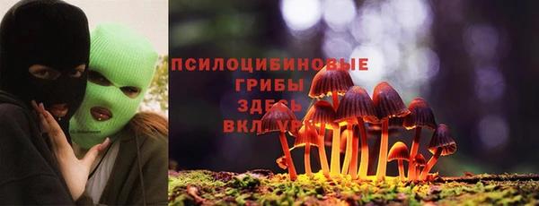 амф Белоозёрский