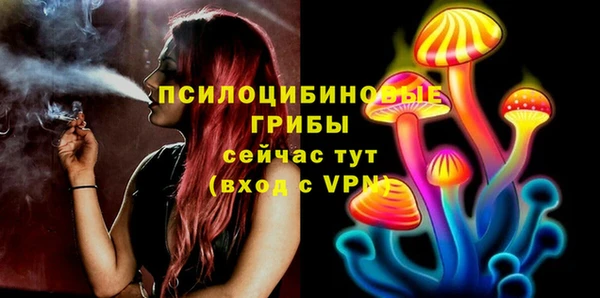 каннабис Гусиноозёрск